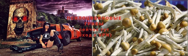 MESCALINE Михайлов